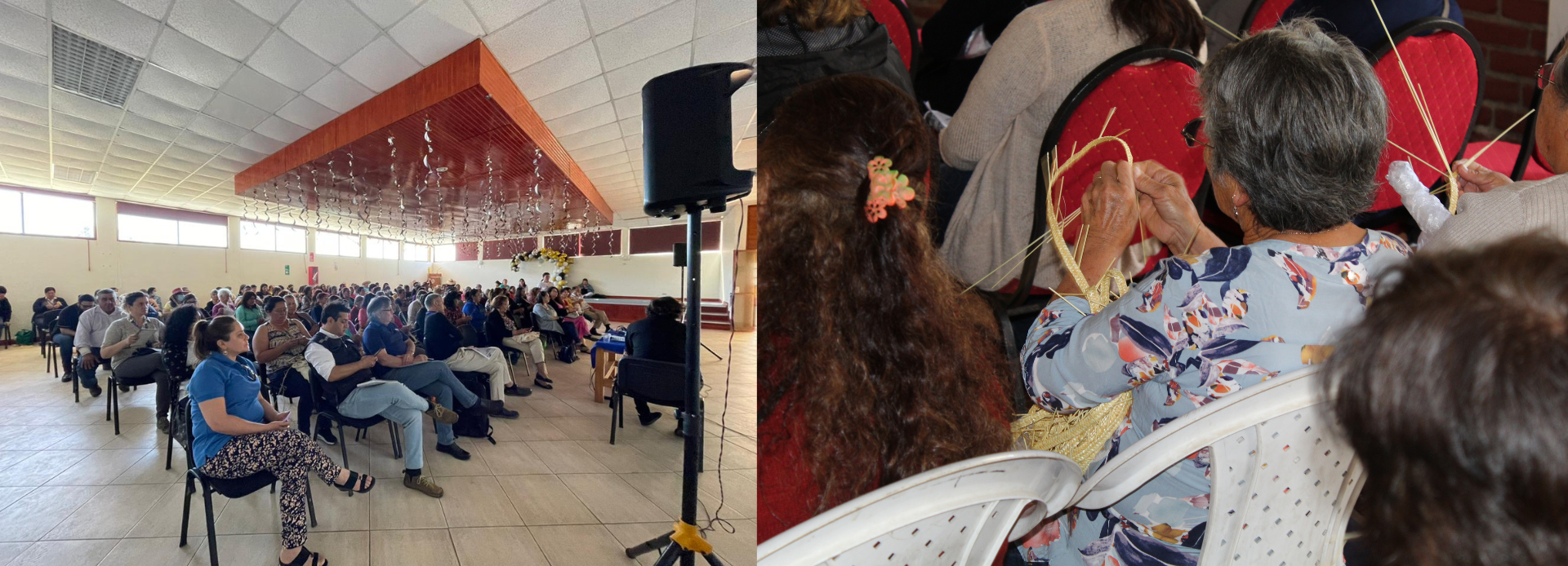 Con éxito se llevó a cabo el segundo encuentro participativo de colchanderas y colchanderos del Valle del Itata en Ninhue y Quirihue