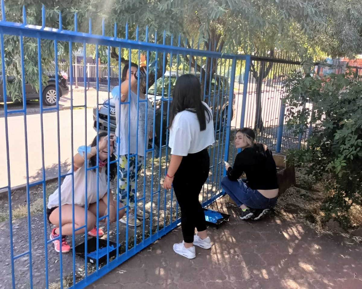 Estudiantes de electivo de pedagogía hospitalaria realizaron trabajos voluntarios en CONIN