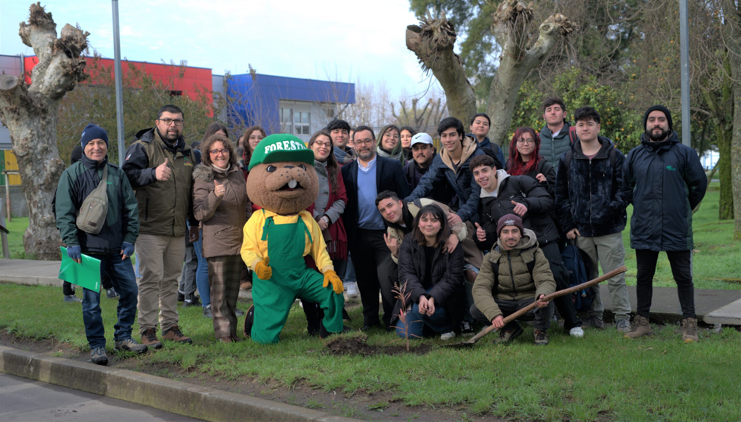 Conaf Ñuble realizó donación de árboles para el campus La Castilla de la Universidad del Bío-Bío
