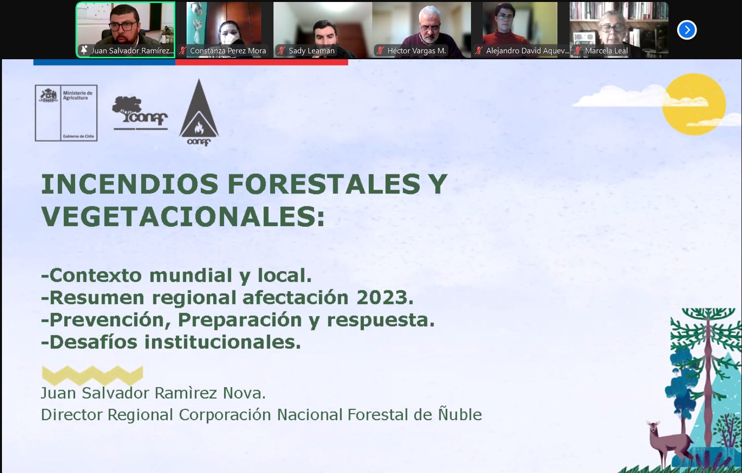 Con éxito realizan conversatorio online sobre impactos socioambientales de los incendios forestales en Ñuble